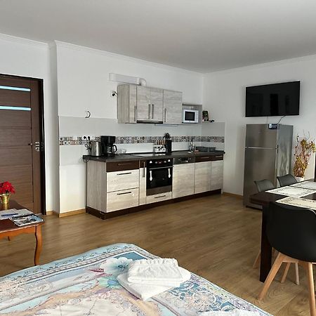 Apartman V Krusnych Horach-Free Parking Яхимов Экстерьер фото