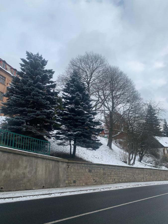 Apartman V Krusnych Horach-Free Parking Яхимов Экстерьер фото