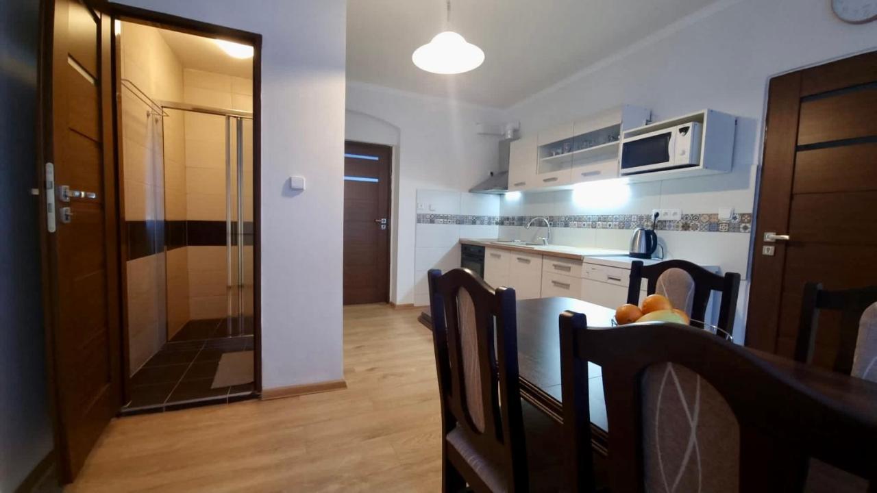 Apartman V Krusnych Horach-Free Parking Яхимов Экстерьер фото