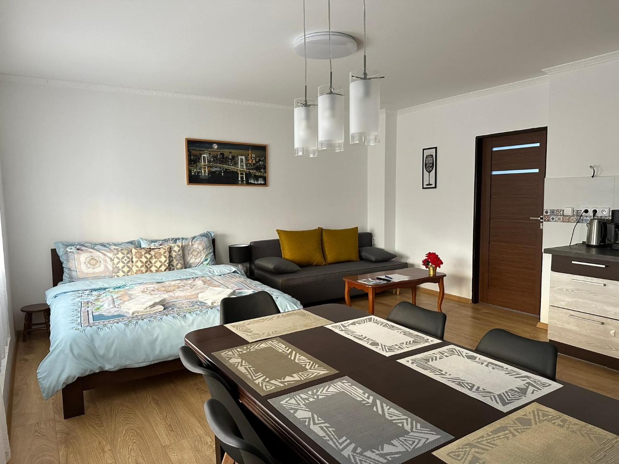 Apartman V Krusnych Horach-Free Parking Яхимов Экстерьер фото