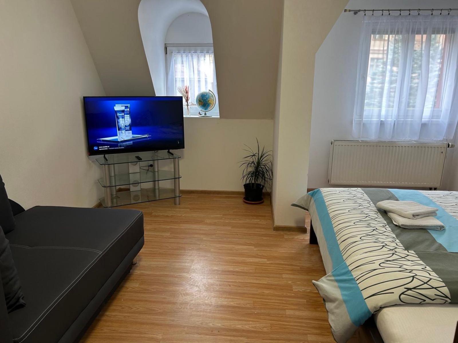 Apartman V Krusnych Horach-Free Parking Яхимов Экстерьер фото